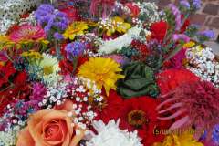 d0d68927-3d68-4d89-adb3-4065c1b3449c